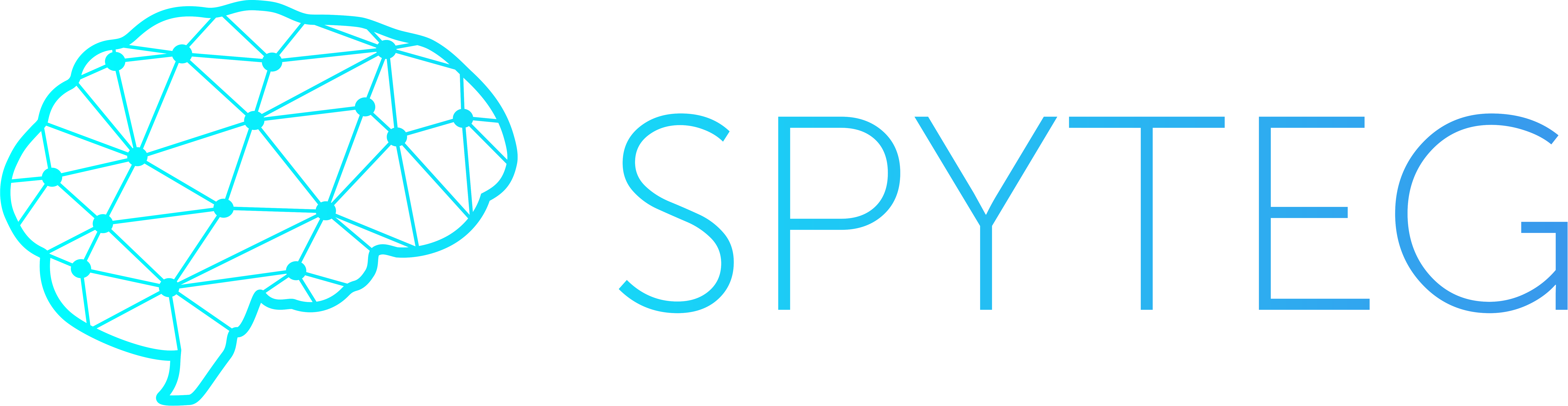 Spyteg логотип